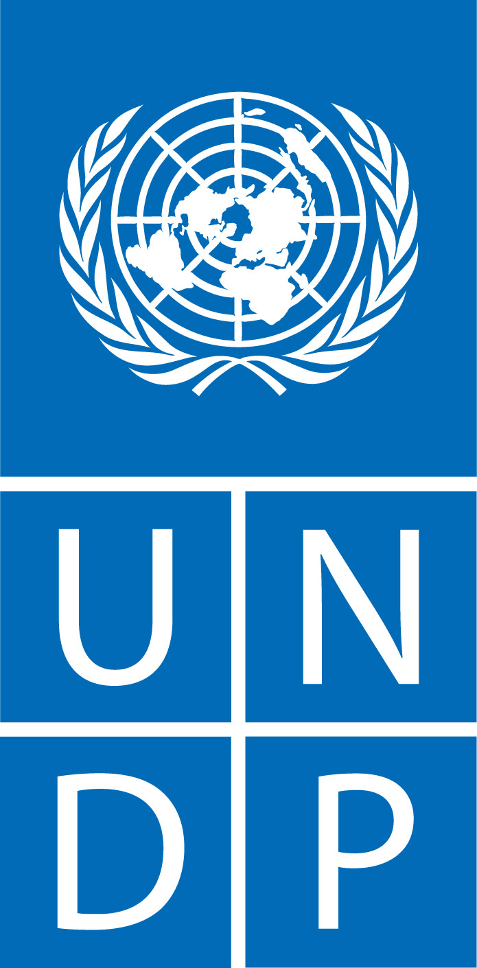 UNDP logo