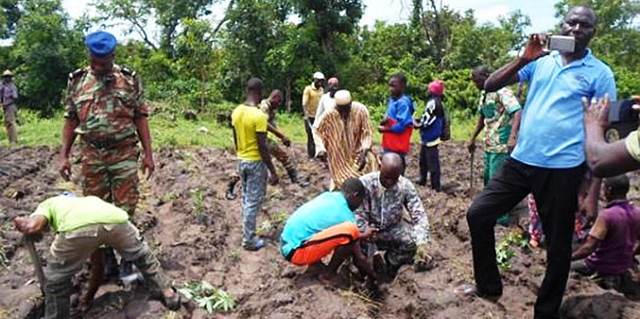 Tree planting Mekrou