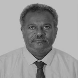 Ahmed K. Eldaw