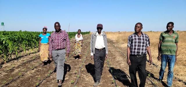 Members of the irrigation scheme tour part of the field with recently installed irrigations pipes 