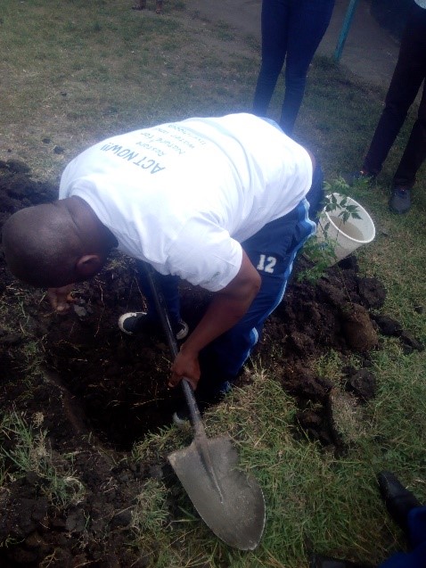 Tree planting to conserve environment 