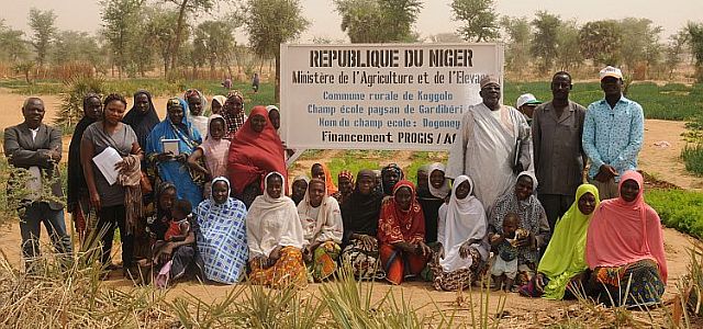 Koygolo_groupe