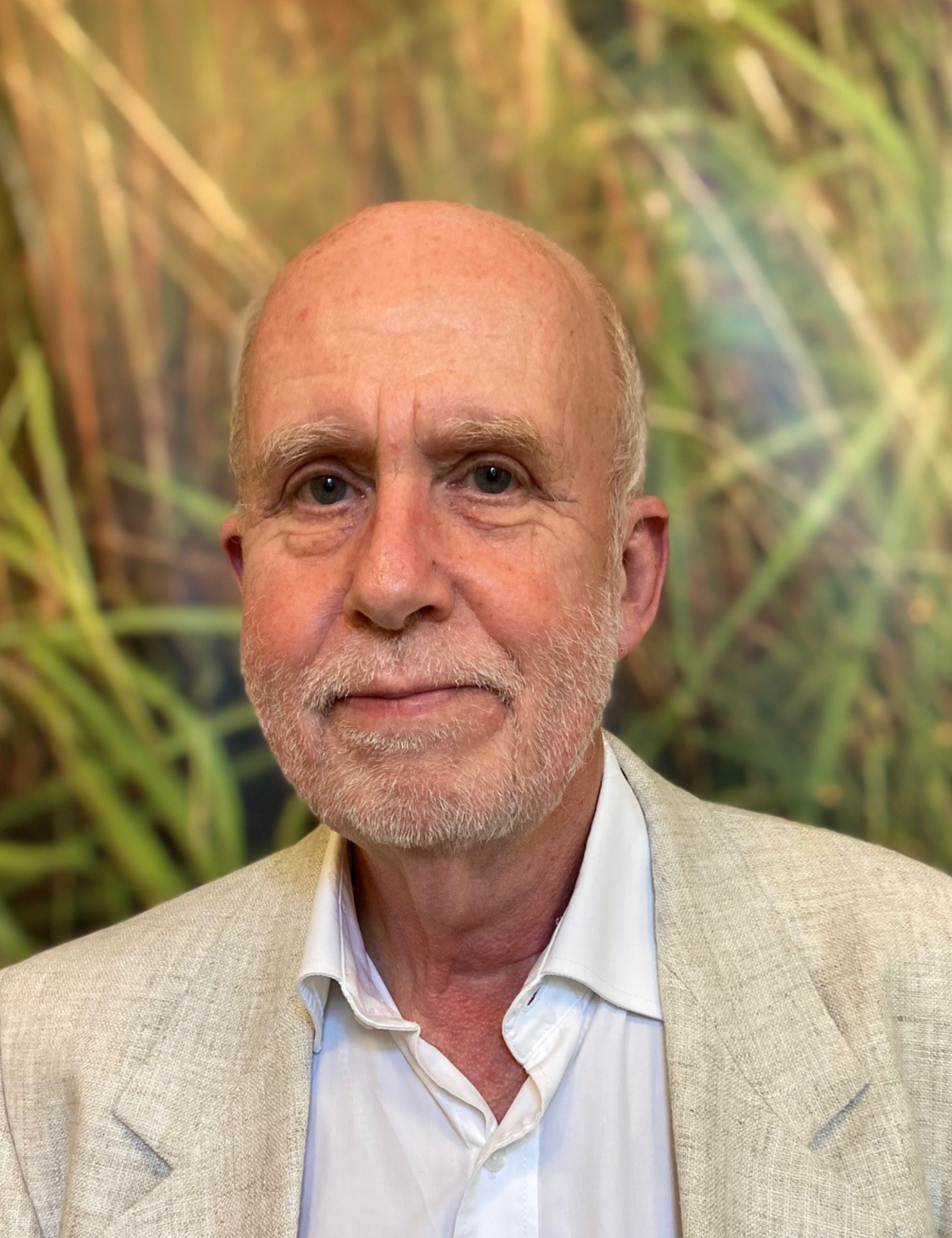 Per Bertilsson