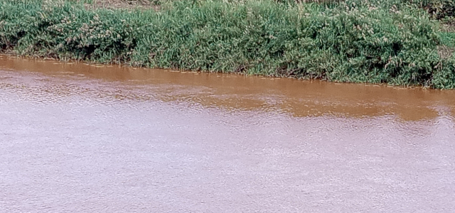 The poor water quality in the basins forces women and girls to travel long distances in search of clean water for domestic and other uses