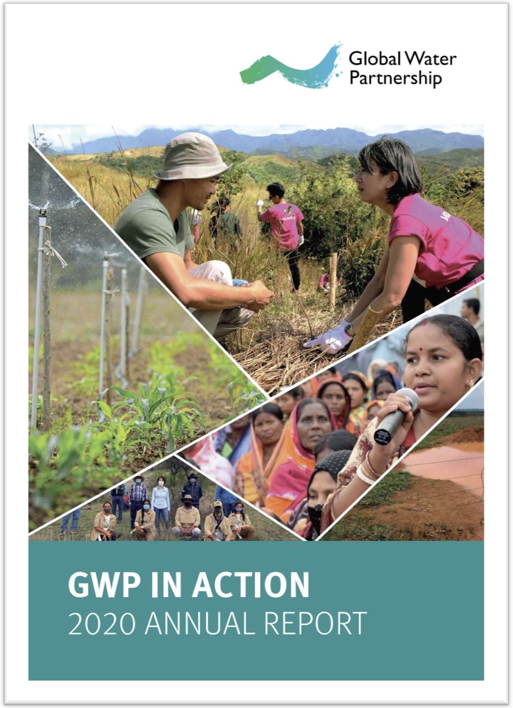 GWP in Action 2020 Annual Report
