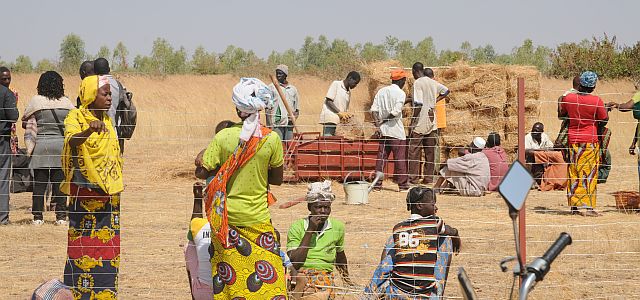 Femmes_hommes à komki