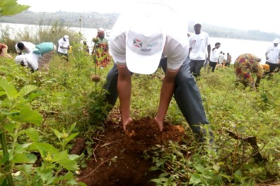 Getting their hands dirty planting trees