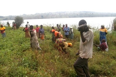 Many people helping to plant trees