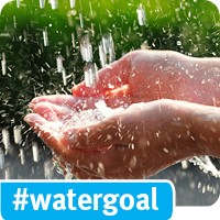 Watergoal icon