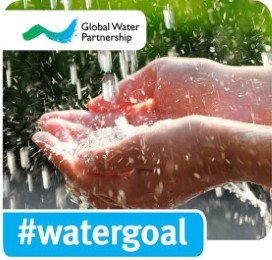 Water Goal logo