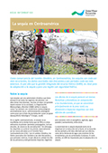 Hoja informativa: Sequía en Centroamérica