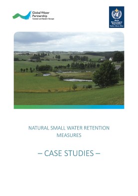 Natural-Small-Water-Retention-Measures-case-studies