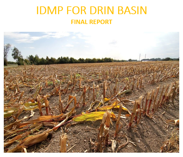 IDMP Final Report