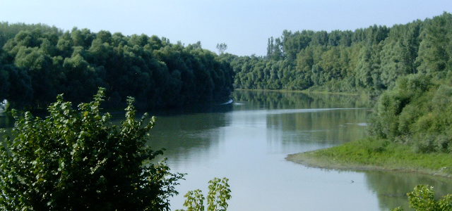 Tisza