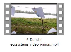 DAM Video Winner 1