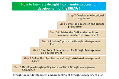 IDMP steps