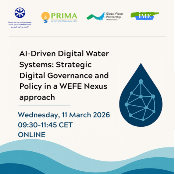 AI-Driven Digital Water Systems: Strategic Digital Governance and Policyin a WEFE Nexus approach