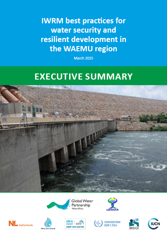 Executive Summary